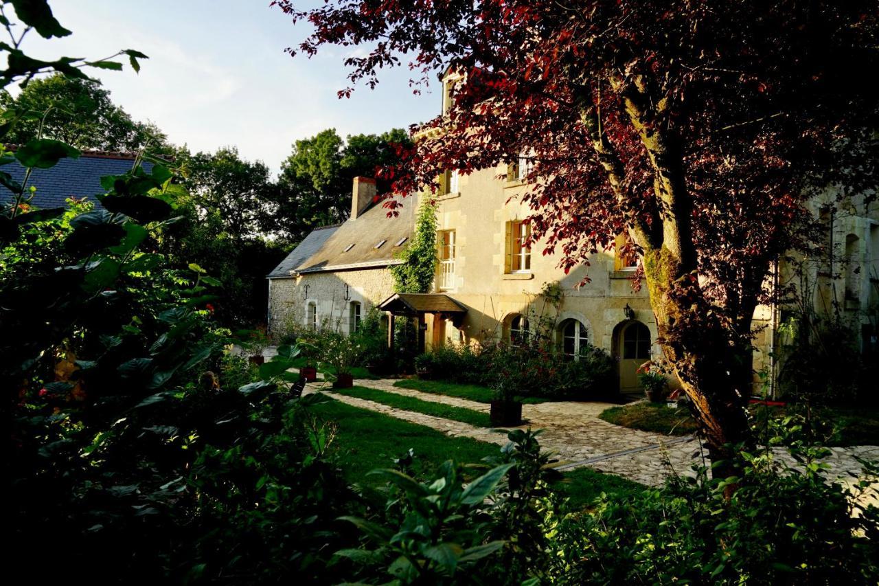 Le Moulin De La Planche Bed & Breakfast Cerelles Ngoại thất bức ảnh